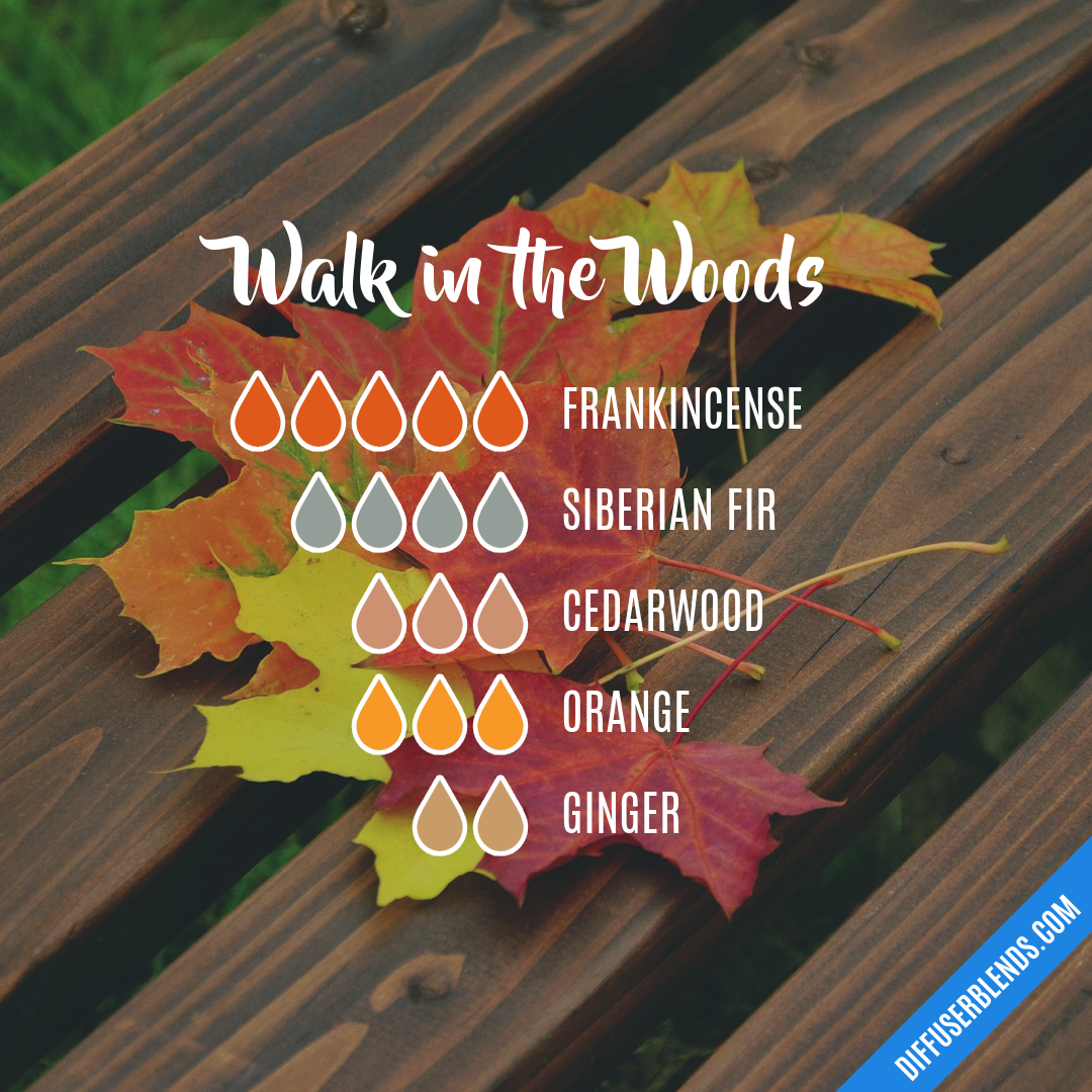 Walk in the Woods — Essential Oil Diffuser Blend