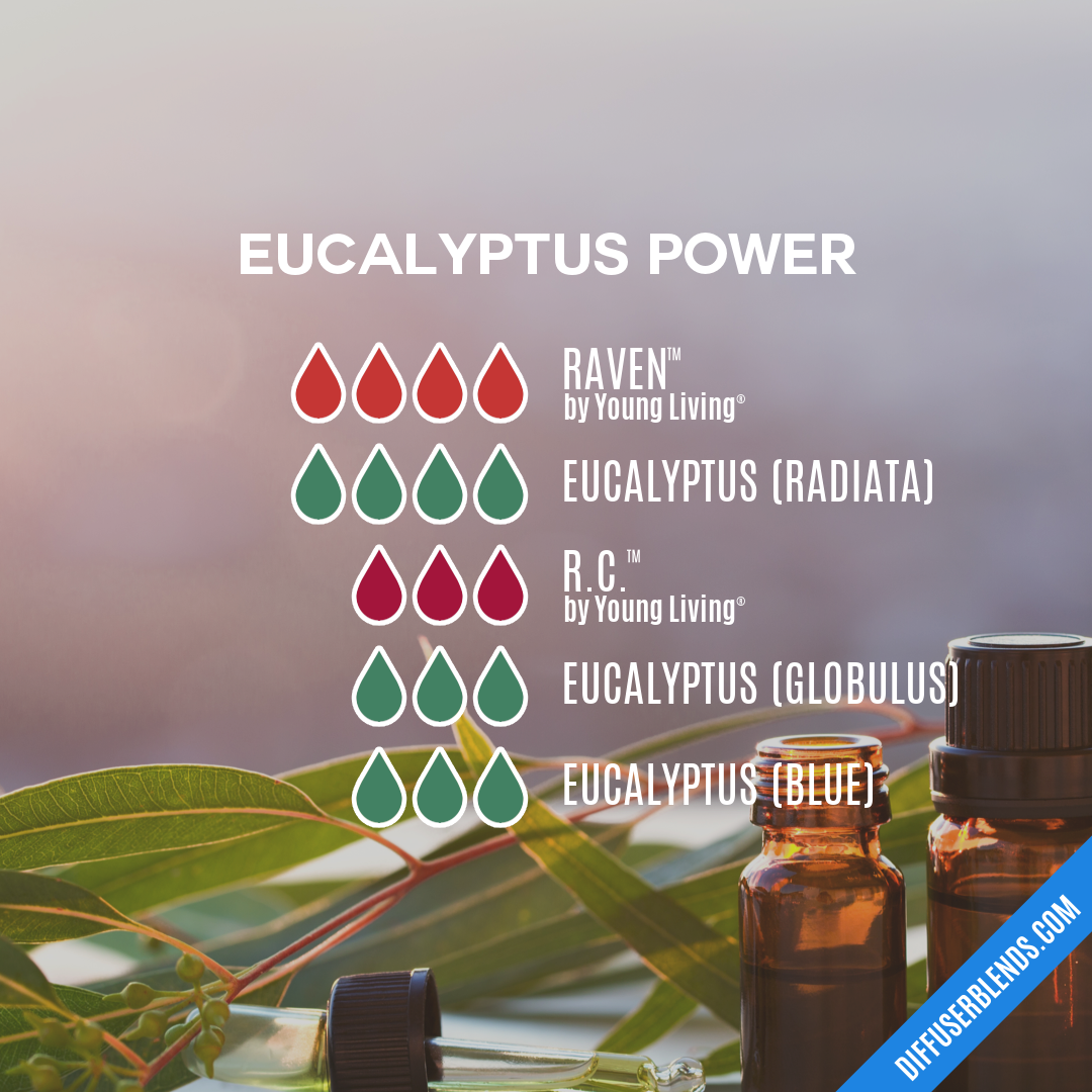 Eucalyptus Power — Essential Oil Diffuser Blend