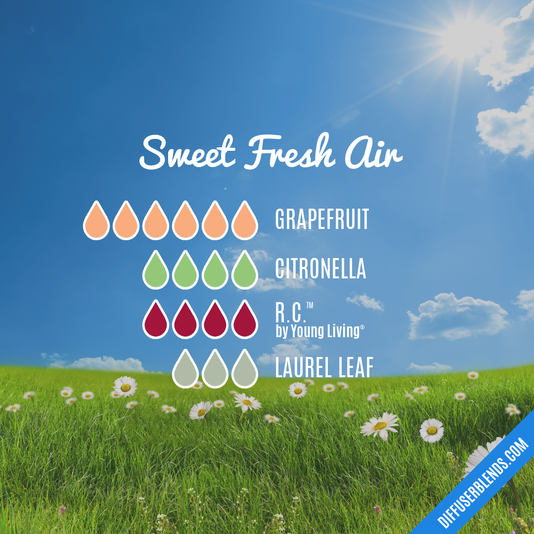 Sweet Fresh Air — Essential Oil Diffuser Blend