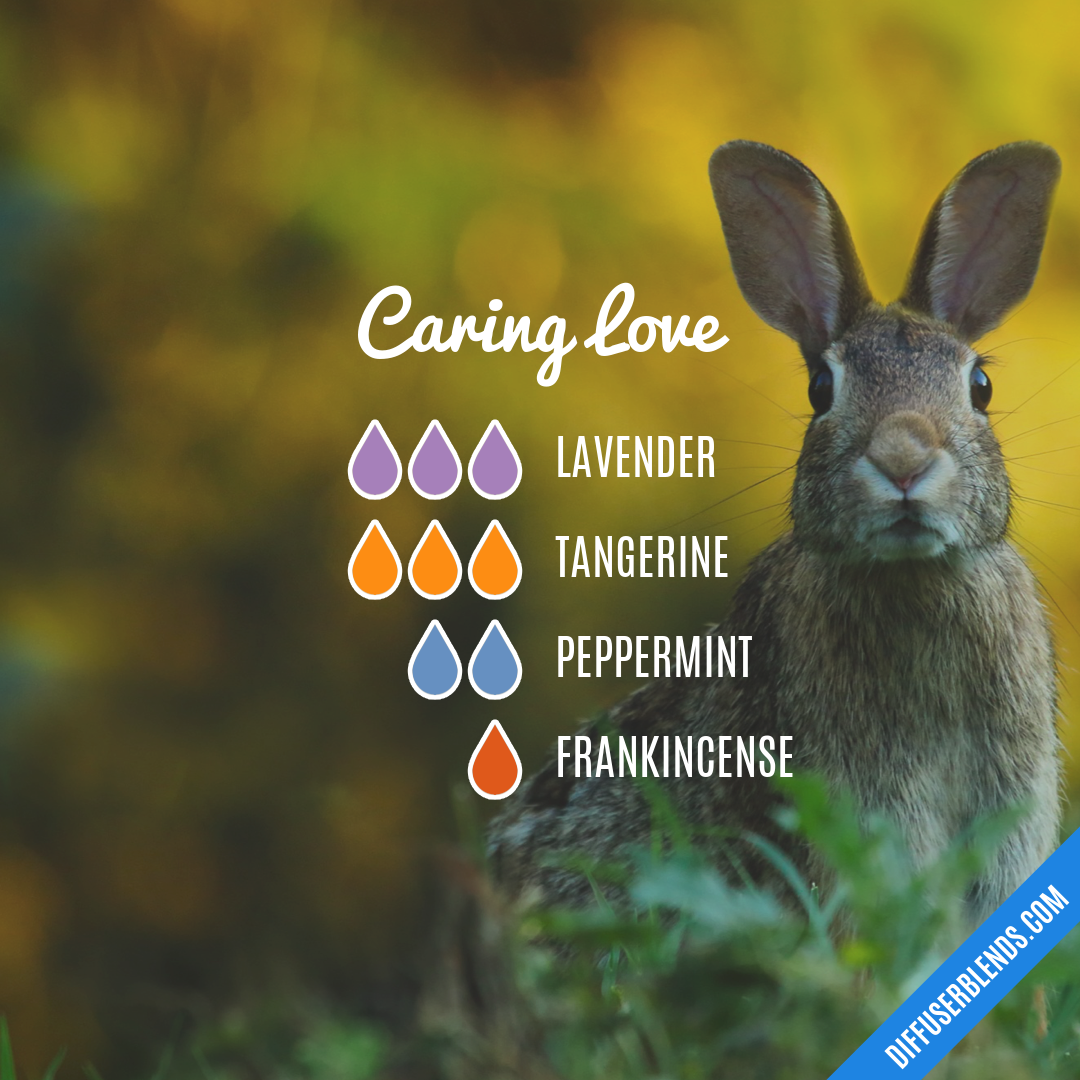 Caring Love — Essential Oil Diffuser Blend