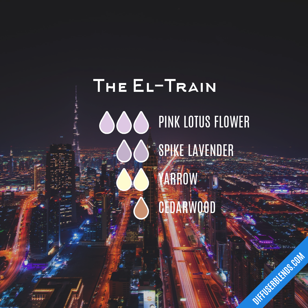 The El-Train — Essential Oil Diffuser Blend