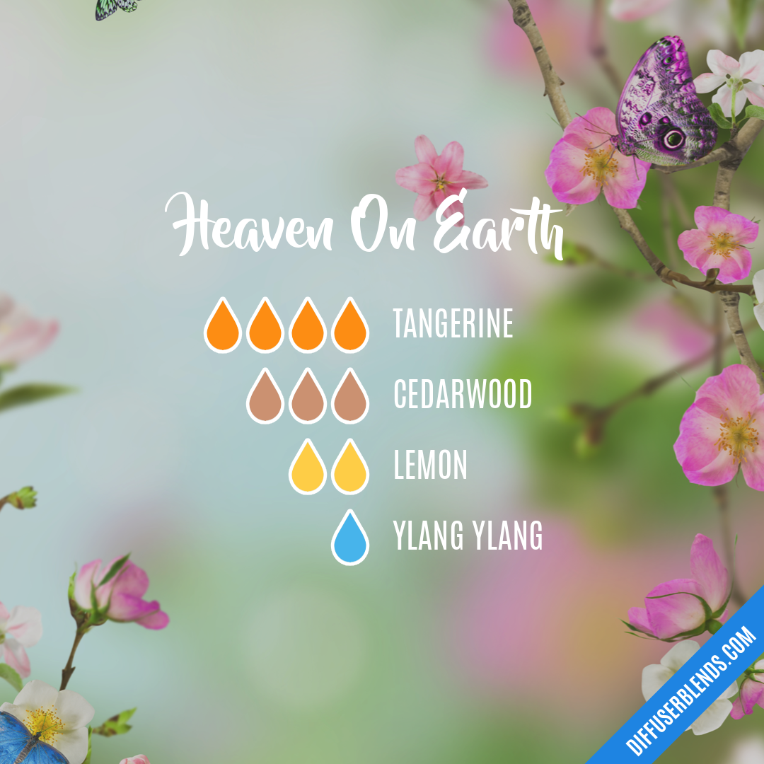 Heaven On Earth — Essential Oil Diffuser Blend