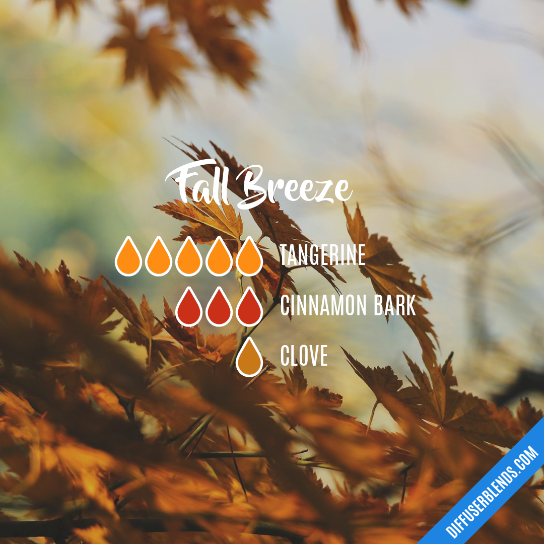 Fall Breeze — Essential Oil Diffuser Blend