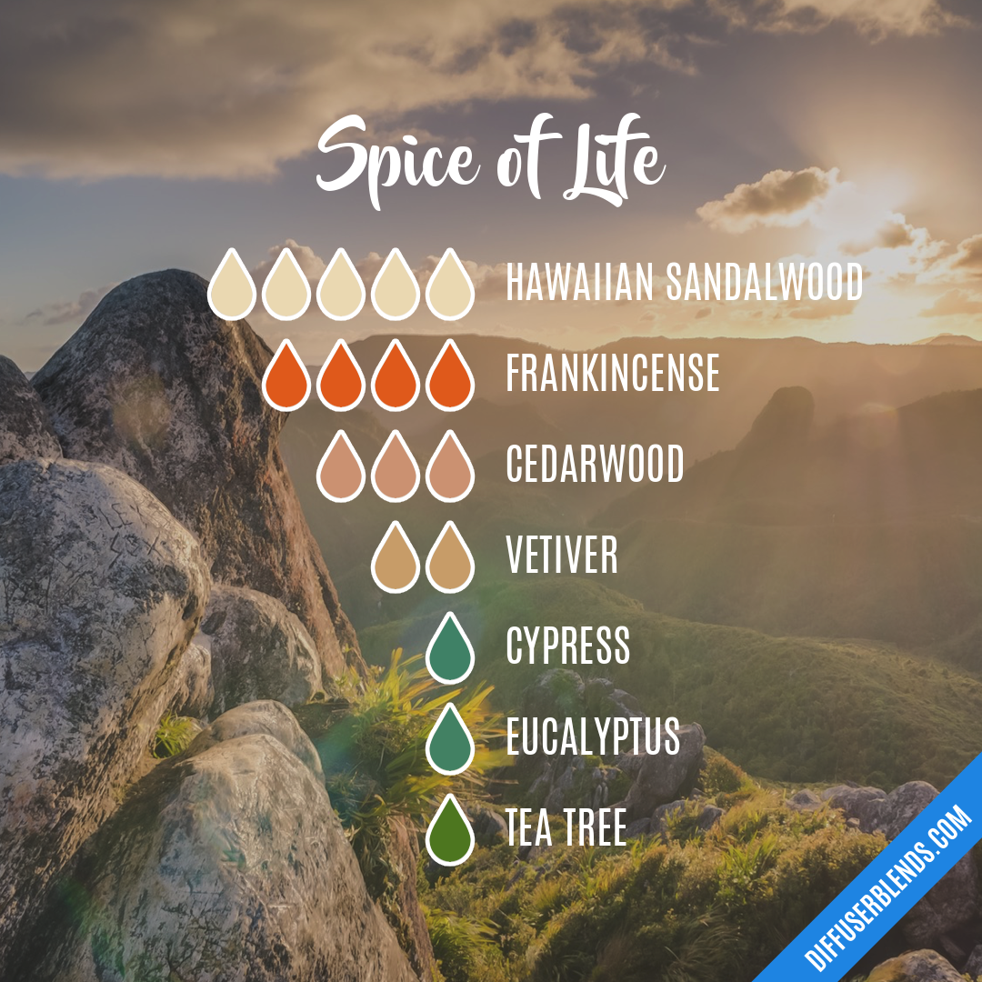 Spice of Life — Essential Oil Diffuser Blend