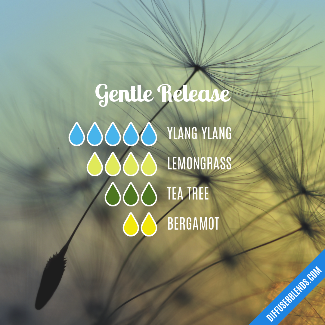 Gentle Release — Essential Oil Diffuser Blend