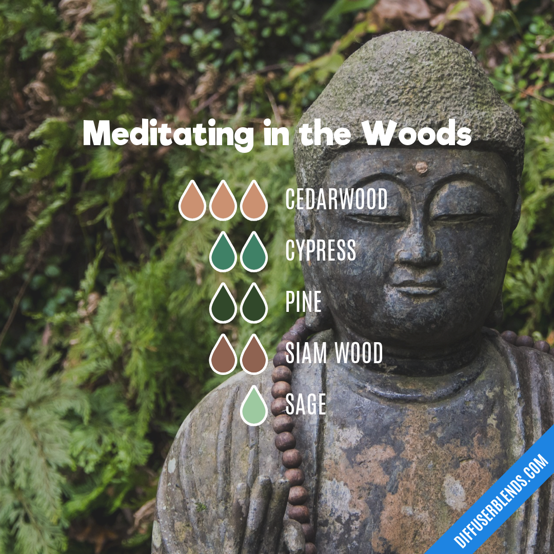 Meditating in the Woods — Essential Oil Diffuser Blend