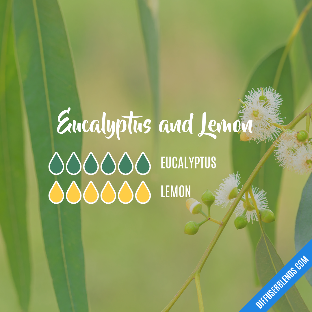 Eucalyptus and Lemon — Essential Oil Diffuser Blend