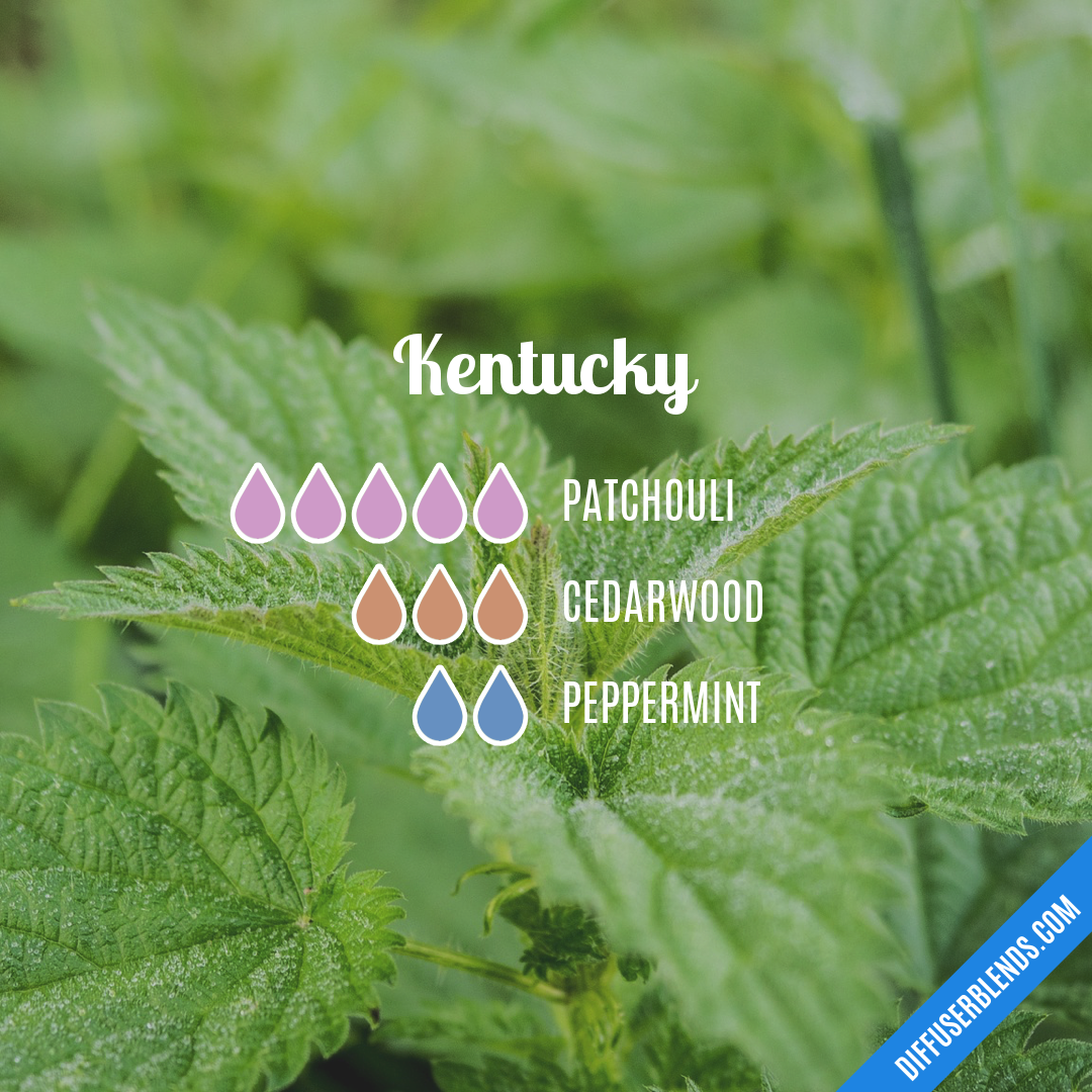 Kentucky — Essential Oil Diffuser Blend