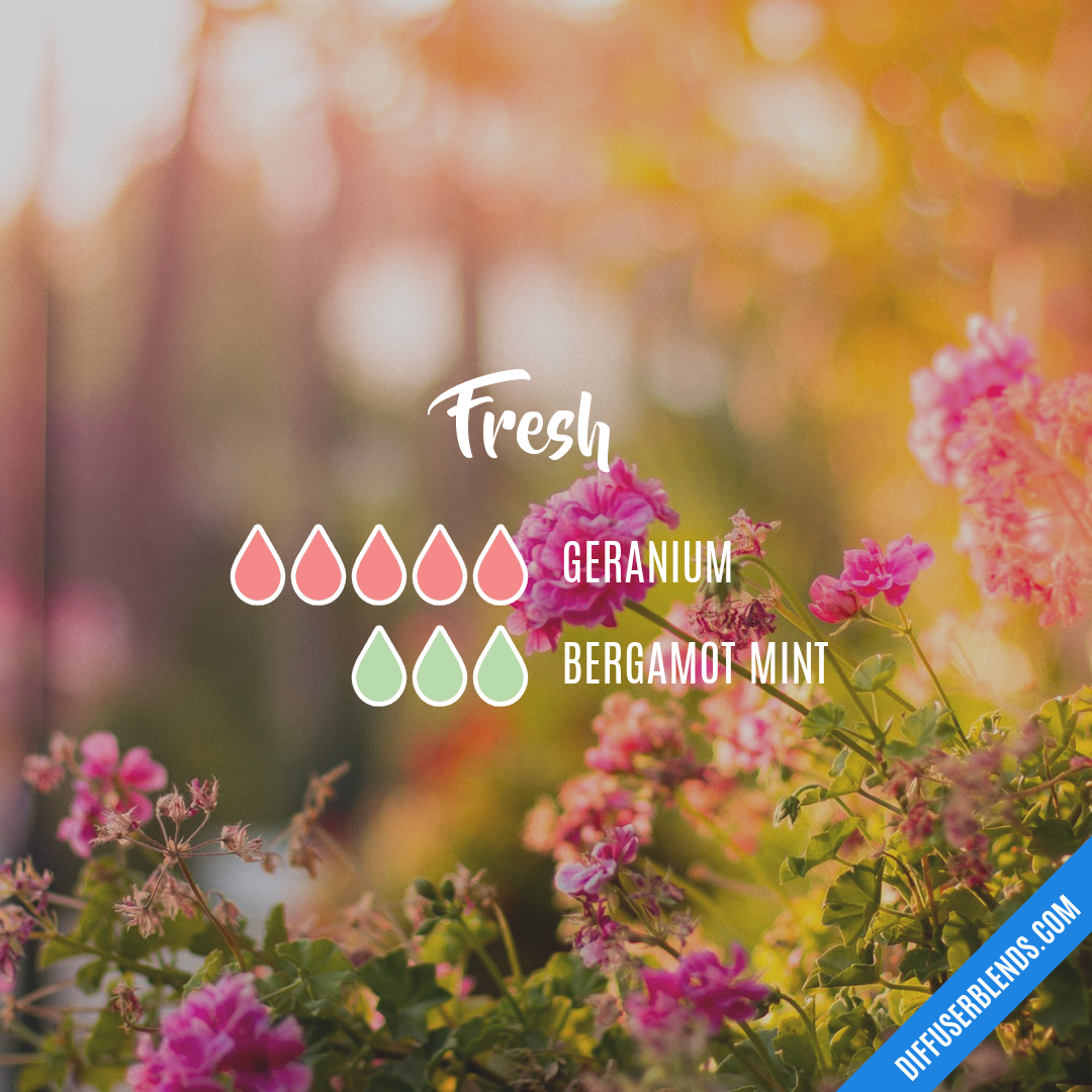 Fresh — Essential Oil Diffuser Blend