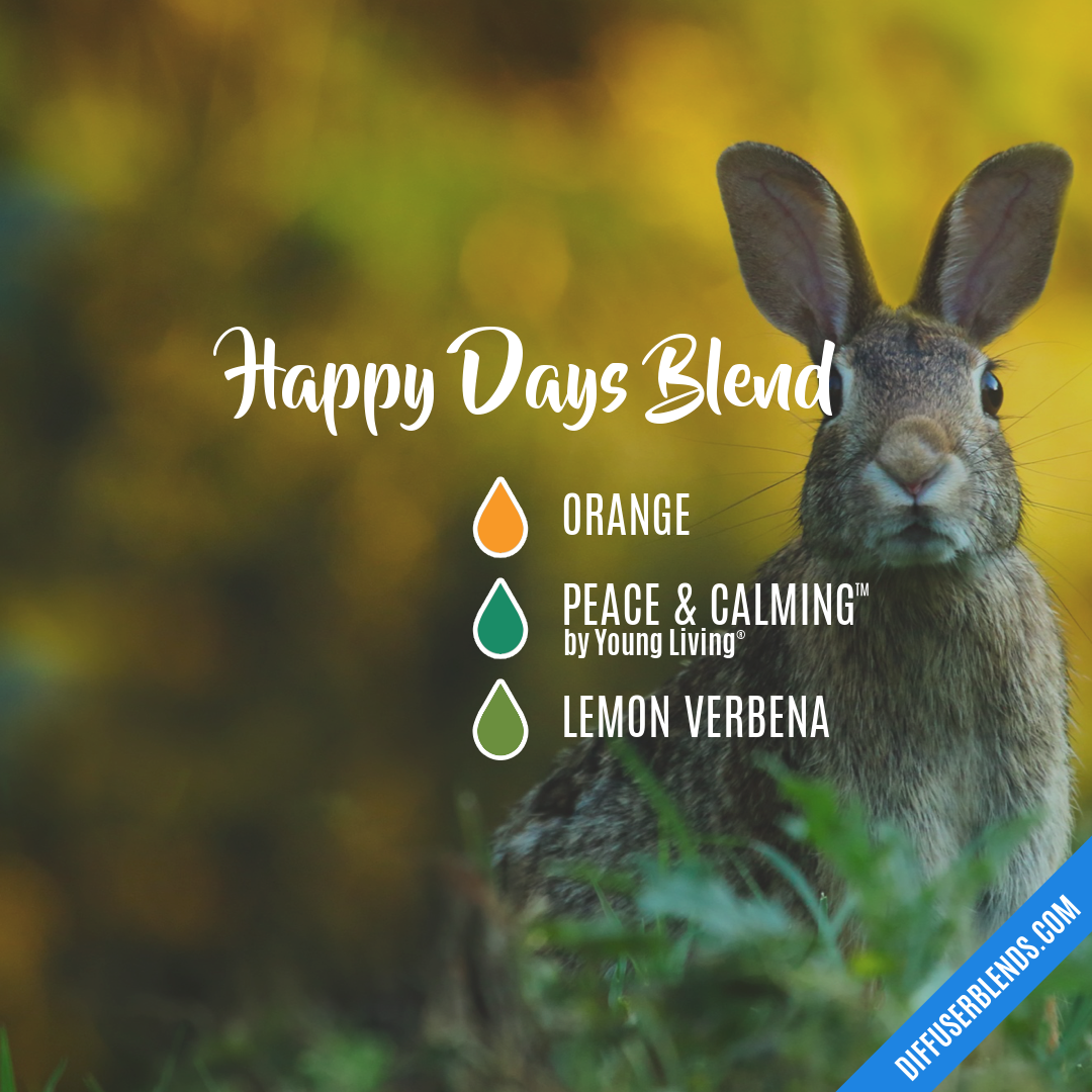 Happy Days Blend — Essential Oil Diffuser Blend