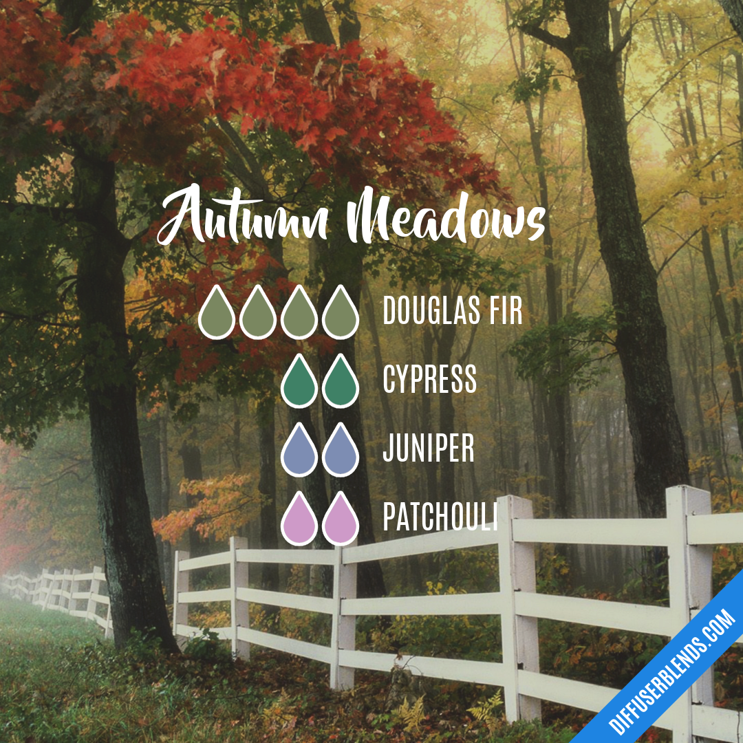 Autumn Meadows — Essential Oil Diffuser Blend