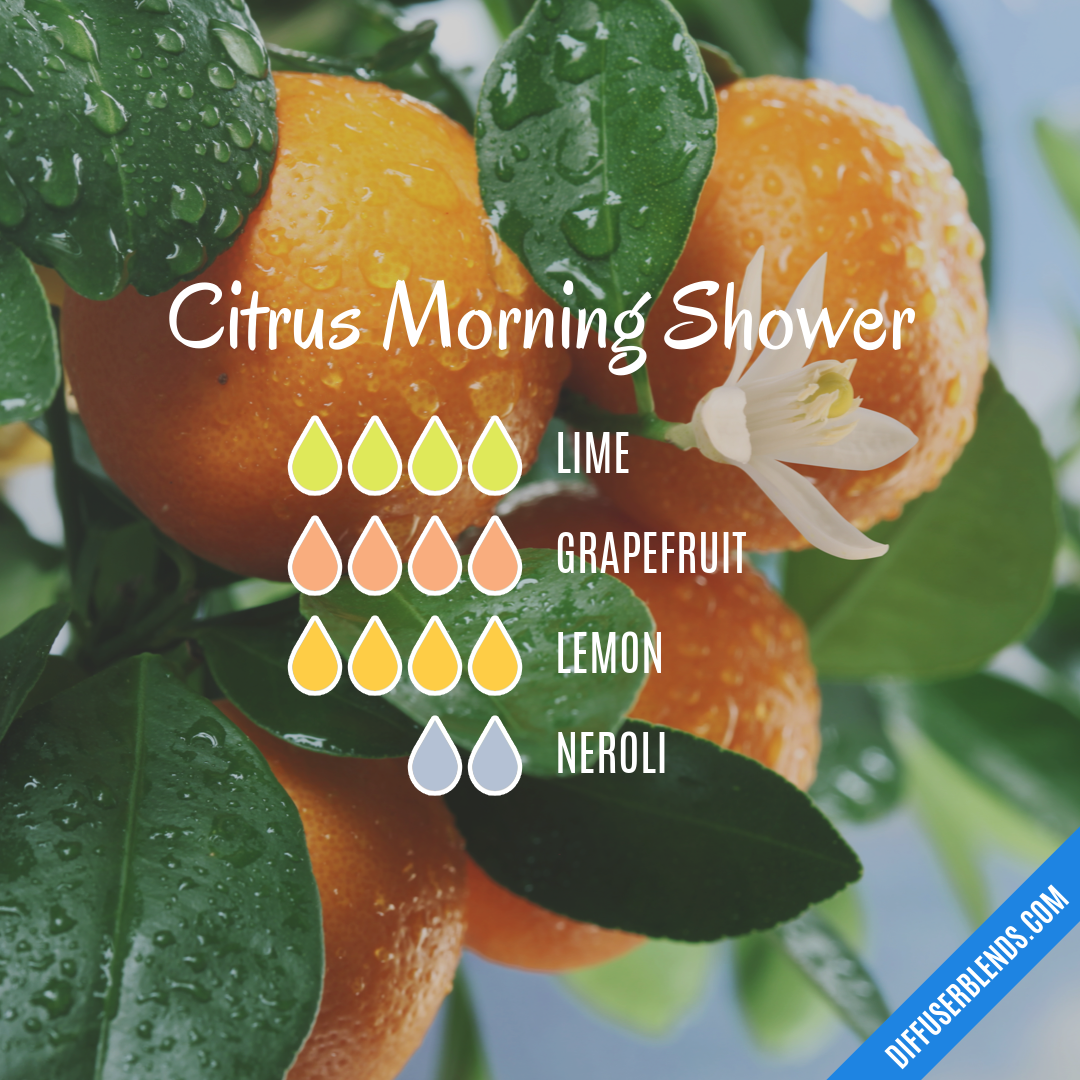 Citrus Morning Shower | DiffuserBlends.com