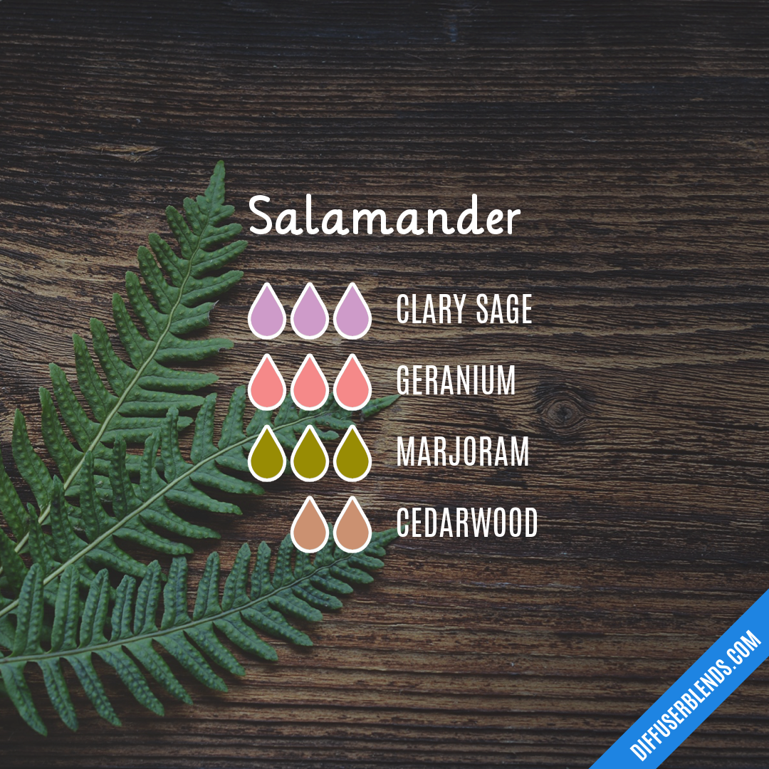 Salamander — Essential Oil Diffuser Blend