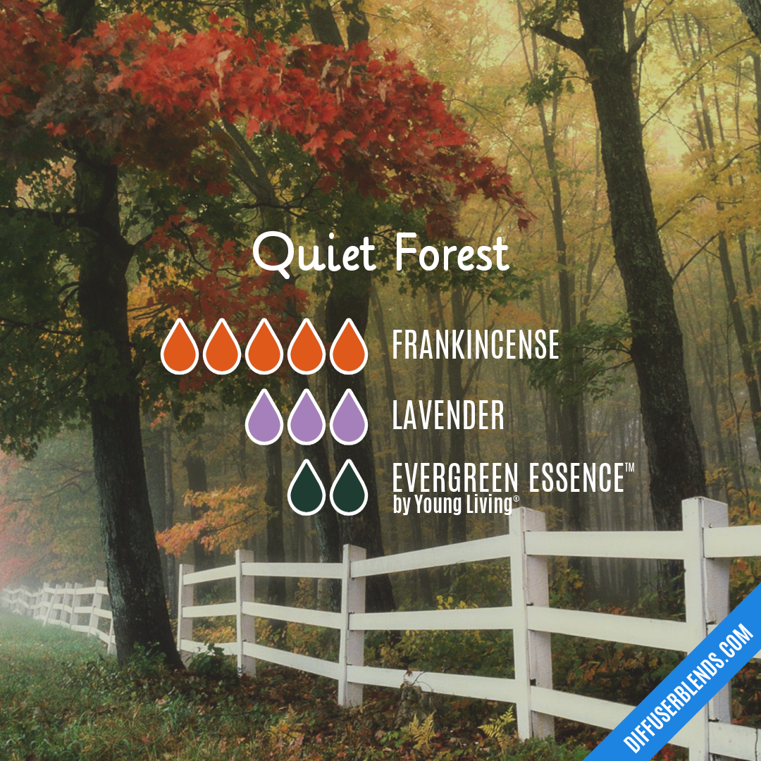 Quiet Forest — Essential Oil Diffuser Blend