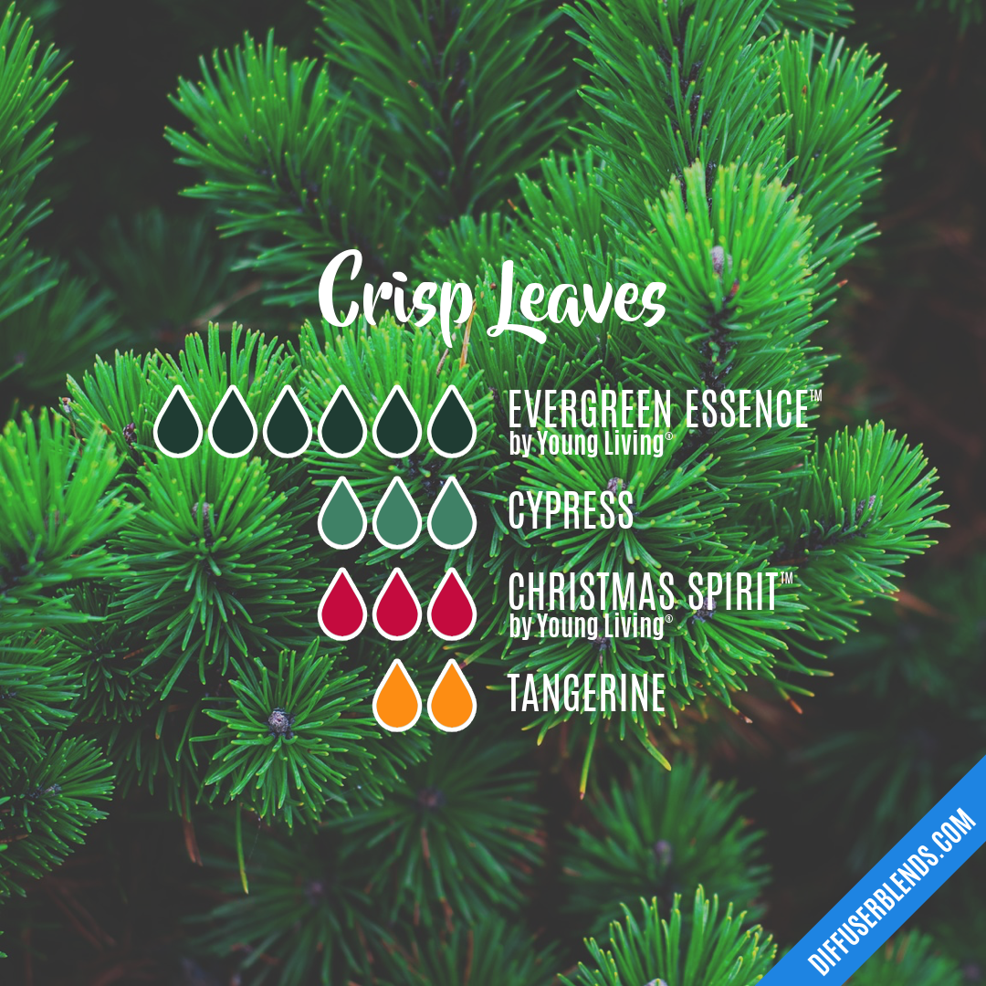 Crisp Leaves — Essential Oil Diffuser Blend