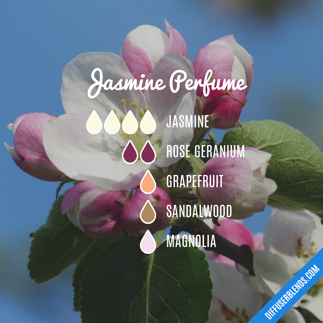 Jasmine Perfume — Essential Oil Diffuser Blend