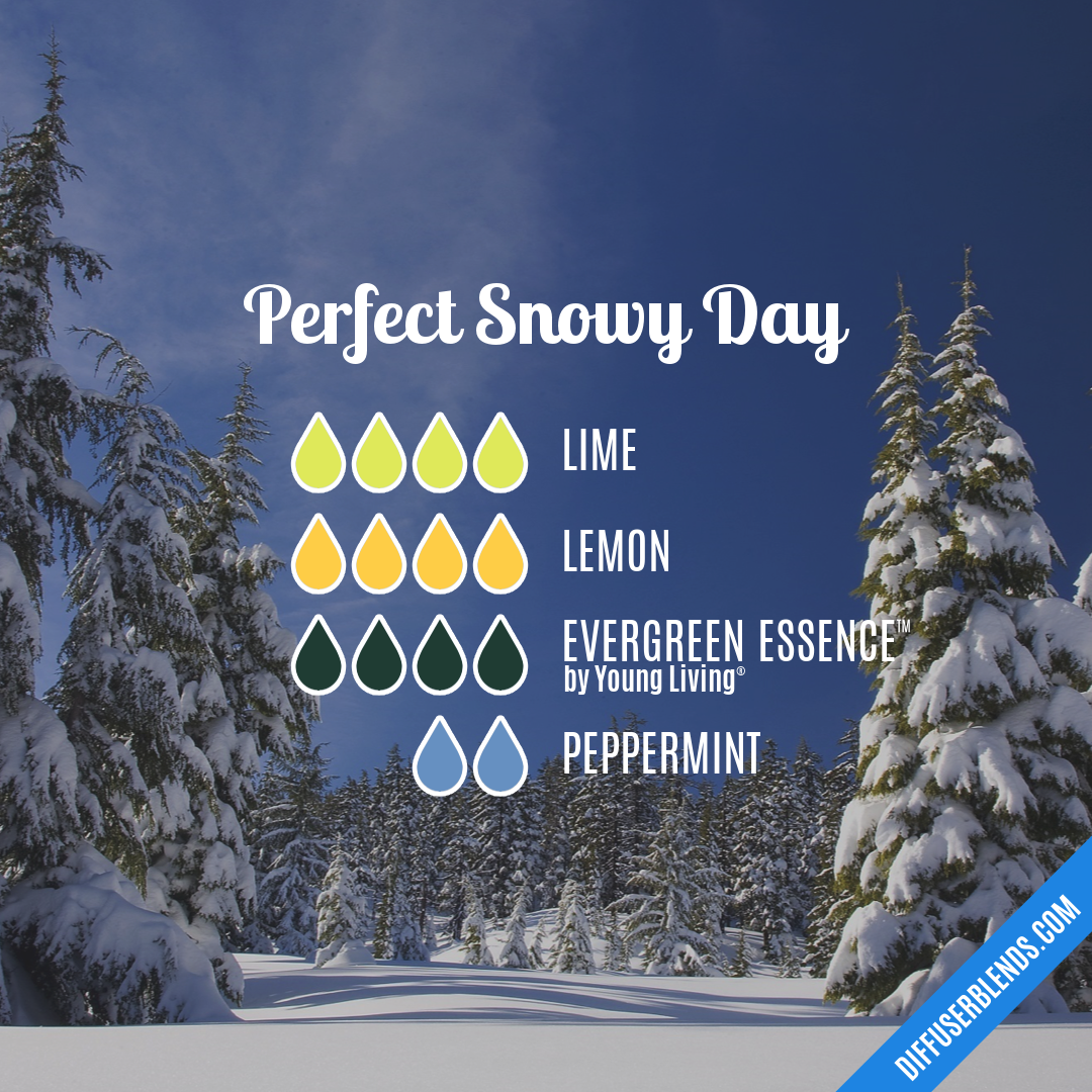 Perfect Snowy Day — Essential Oil Diffuser Blend