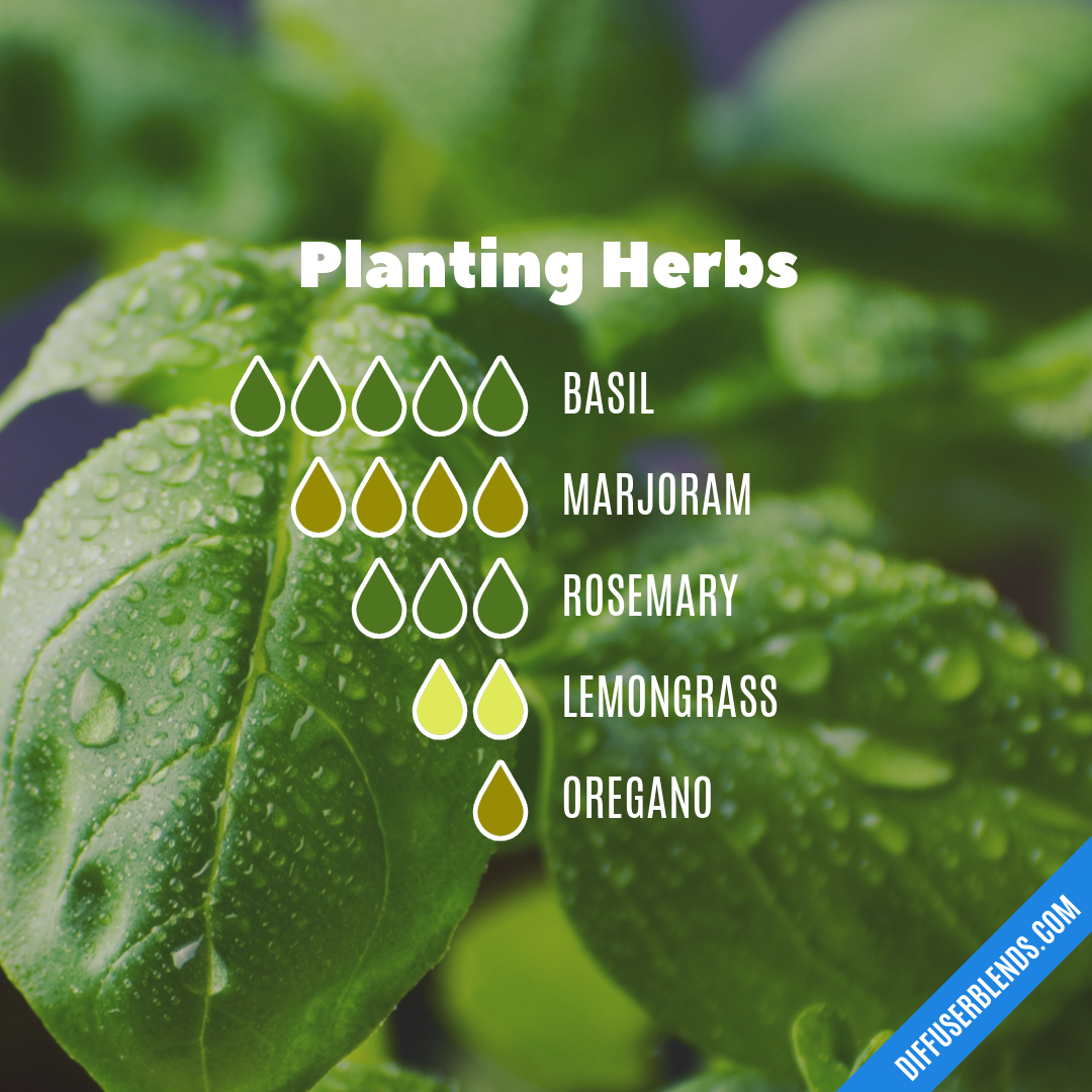 Planting Herbs — Essential Oil Diffuser Blend