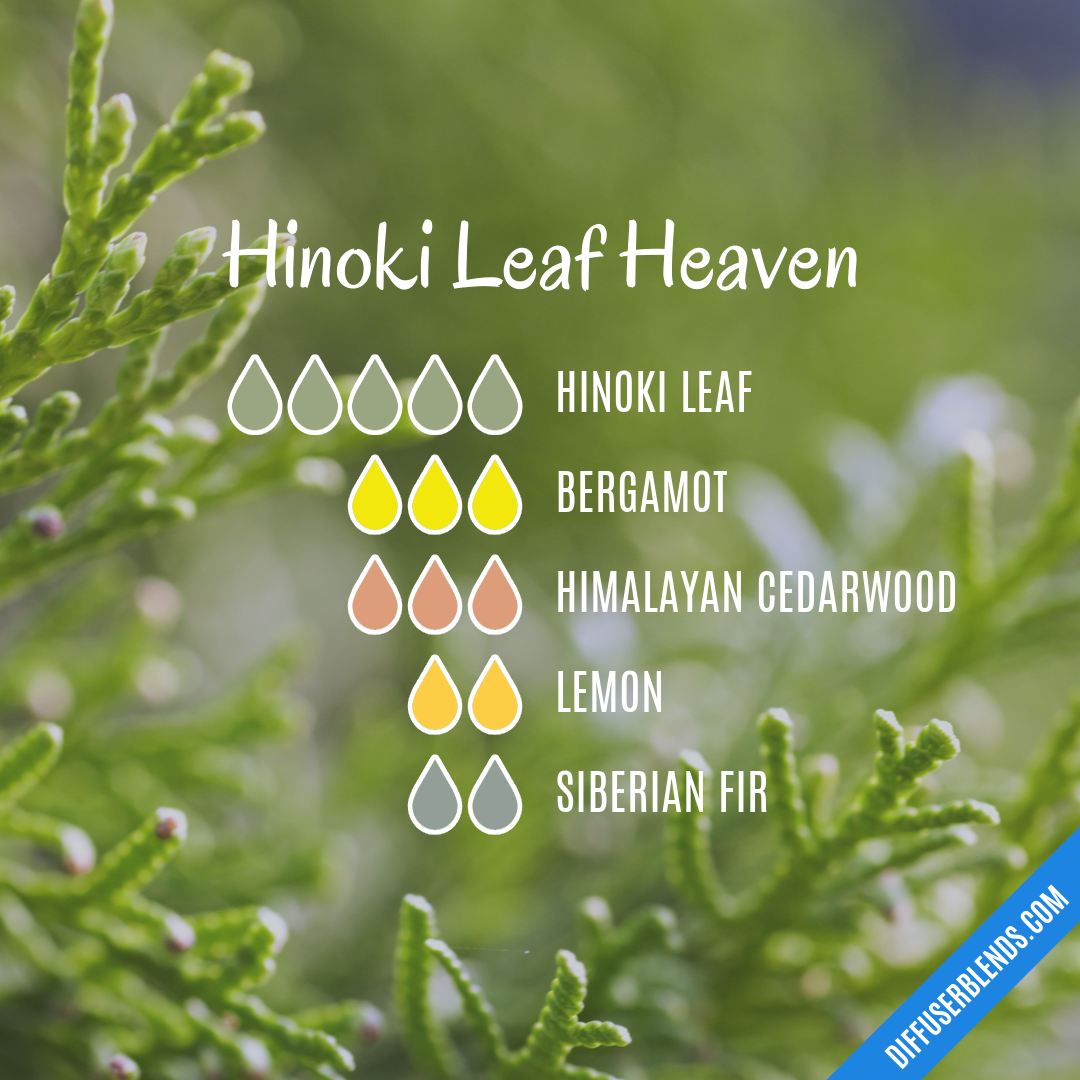 Hinoki Leaf Heaven — Essential Oil Diffuser Blend