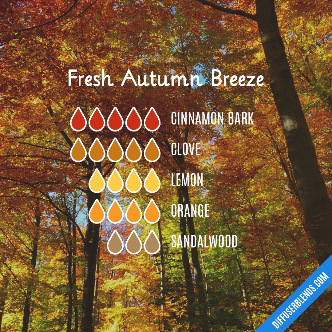 Fresh Autumn Breeze — Essential Oil Diffuser Blend