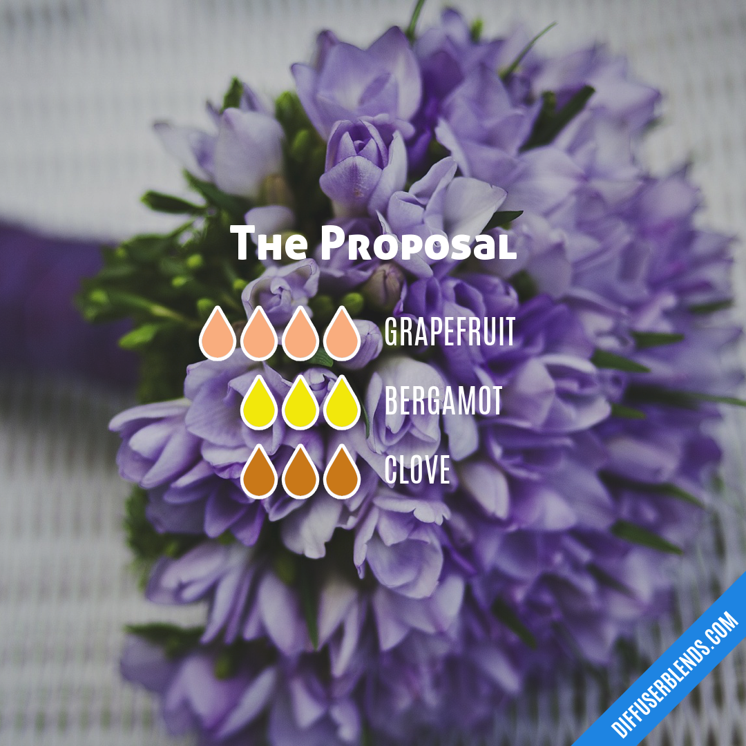 The Proposal — Essential Oil Diffuser Blend