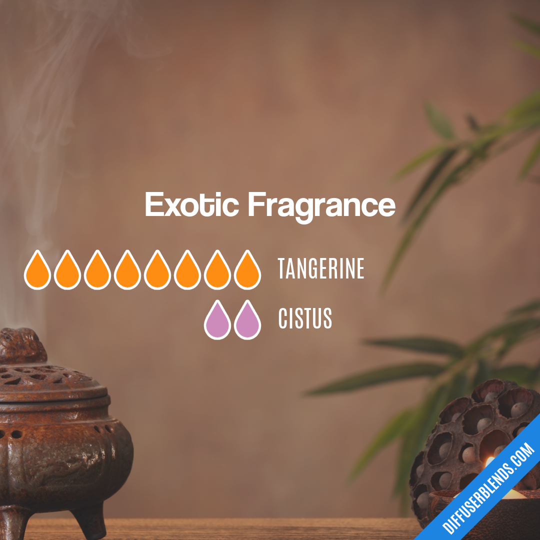 Exotic Fragrance — Essential Oil Diffuser Blend