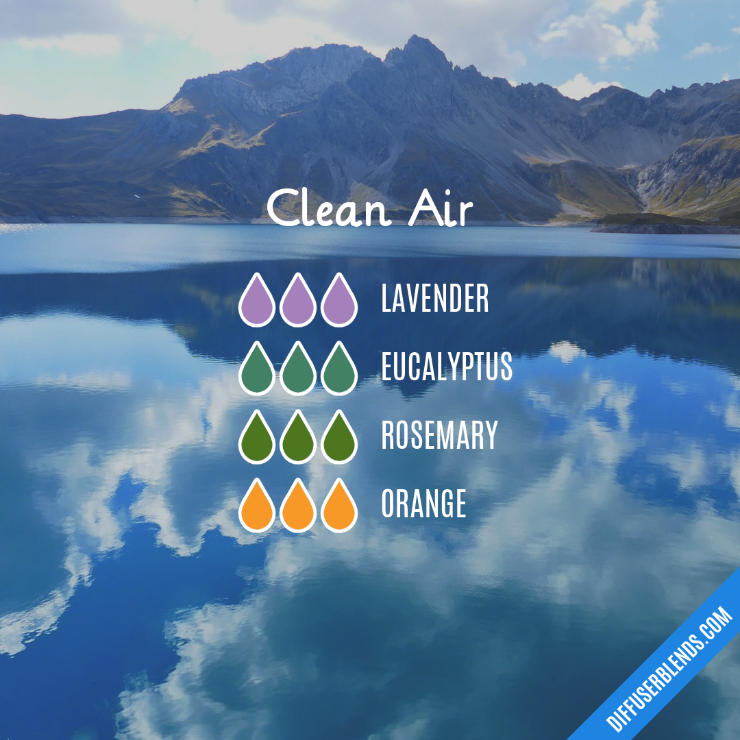 Clean Air | DiffuserBlends.com