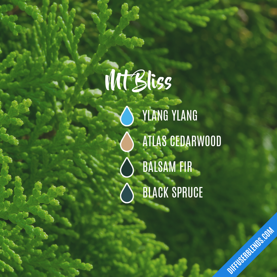 Mt Bliss — Essential Oil Diffuser Blend