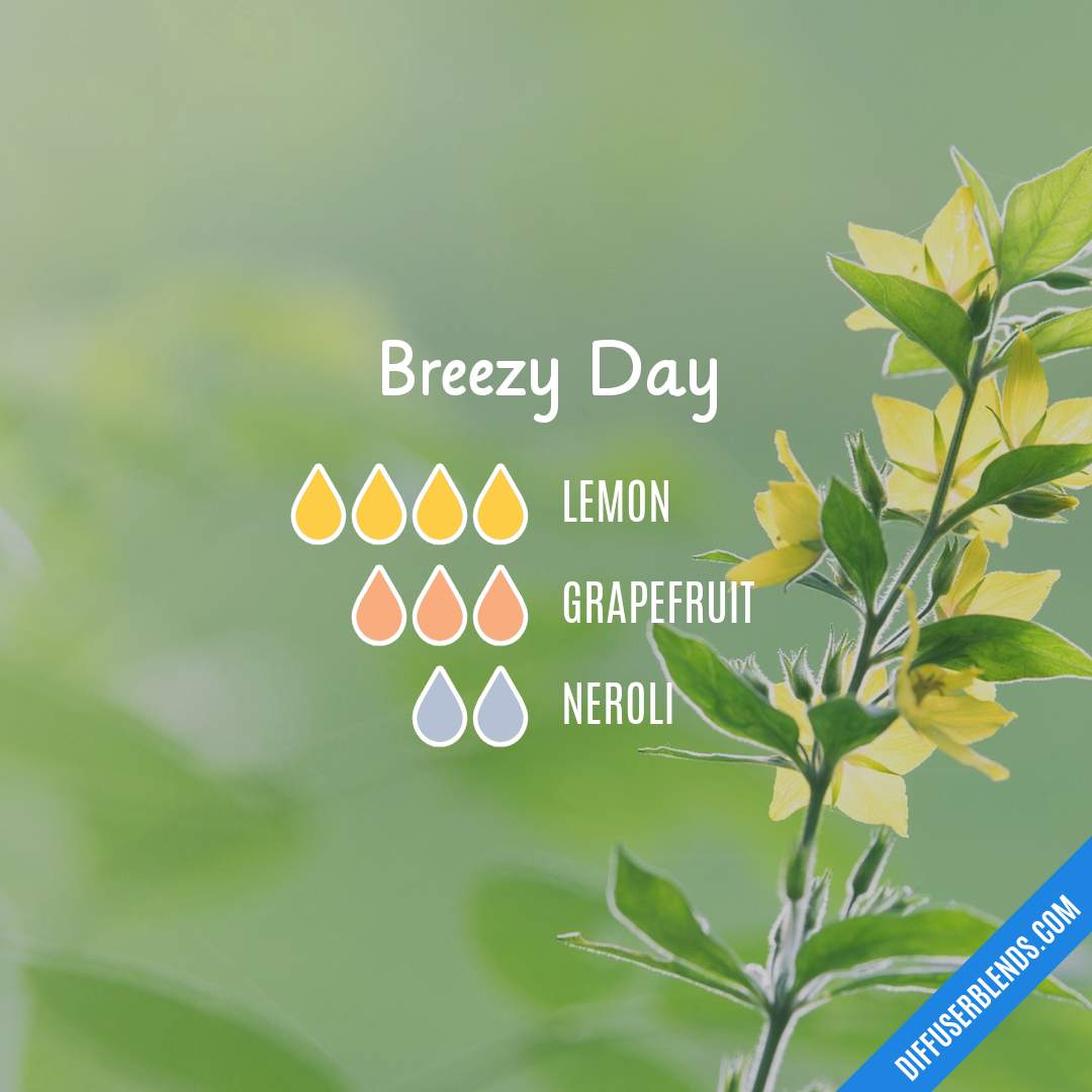 Breezy Day | DiffuserBlends.com