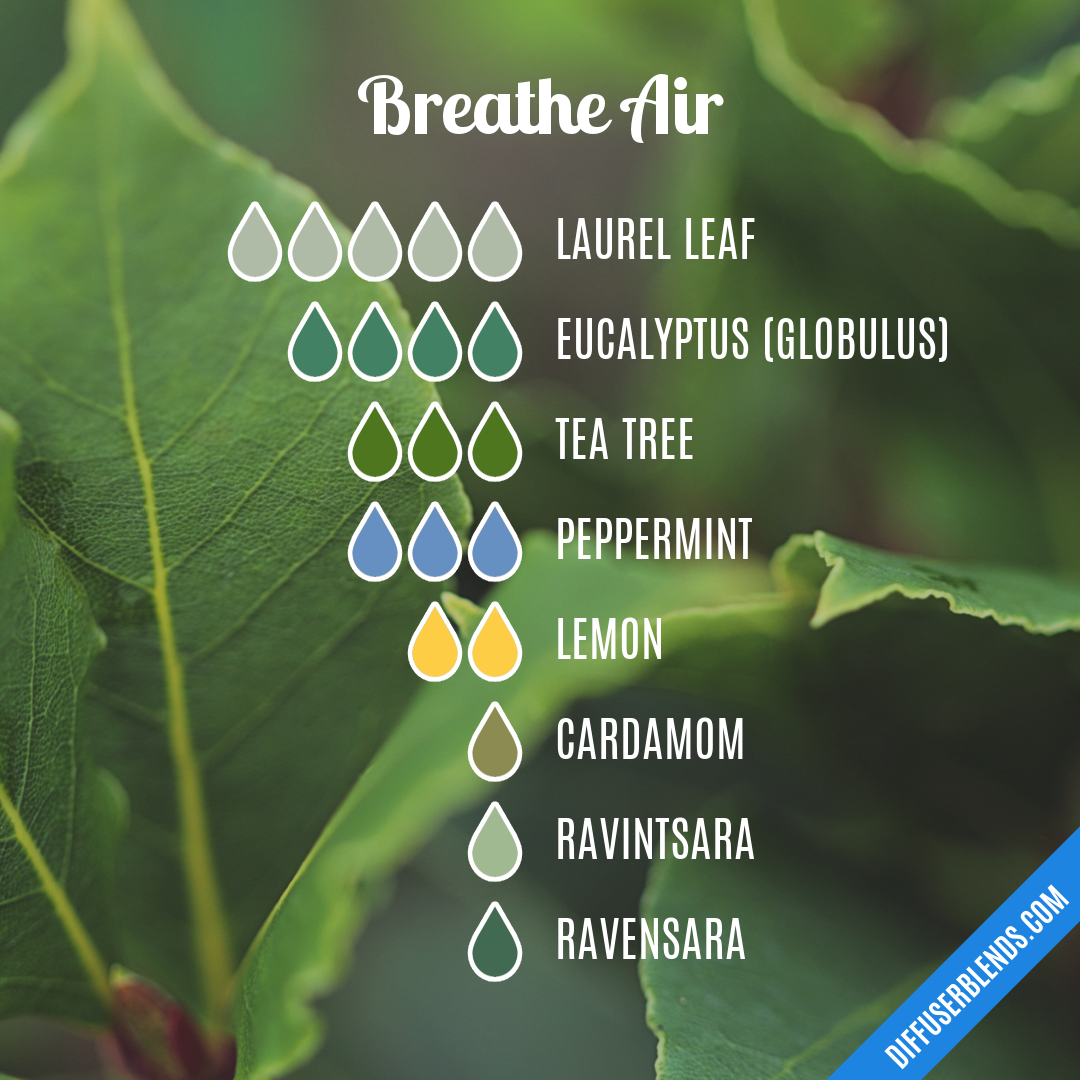 Breathe Air — Essential Oil Diffuser Blend