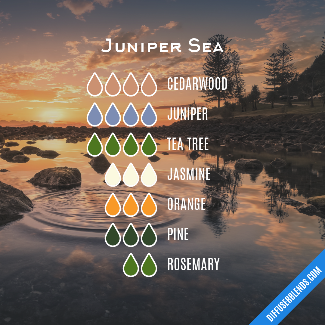 Juniper Sea — Essential Oil Diffuser Blend