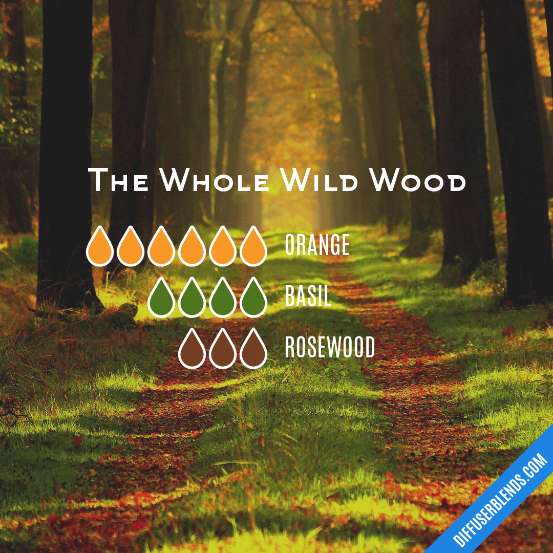 The Whole Wild Wood | DiffuserBlends.com