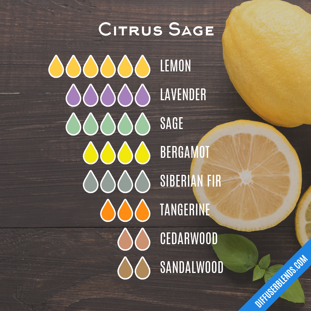 Citrus Sage | DiffuserBlends.com