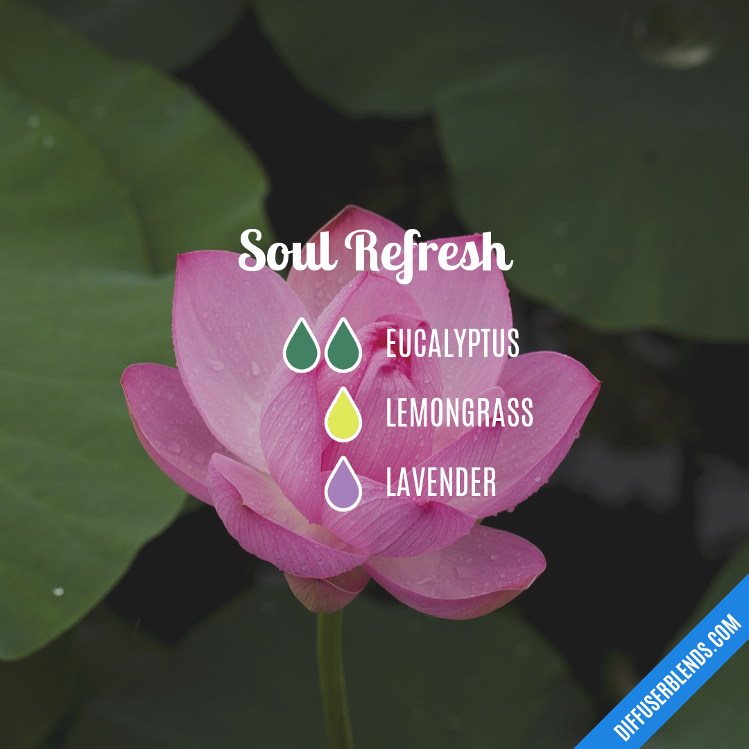 Soul Refresh — Essential Oil Diffuser Blend