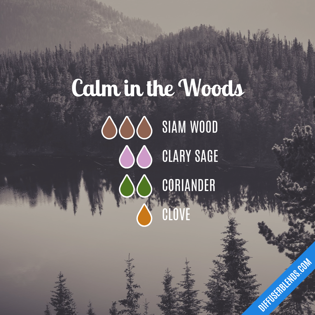 Calm in the Woods — Essential Oil Diffuser Blend