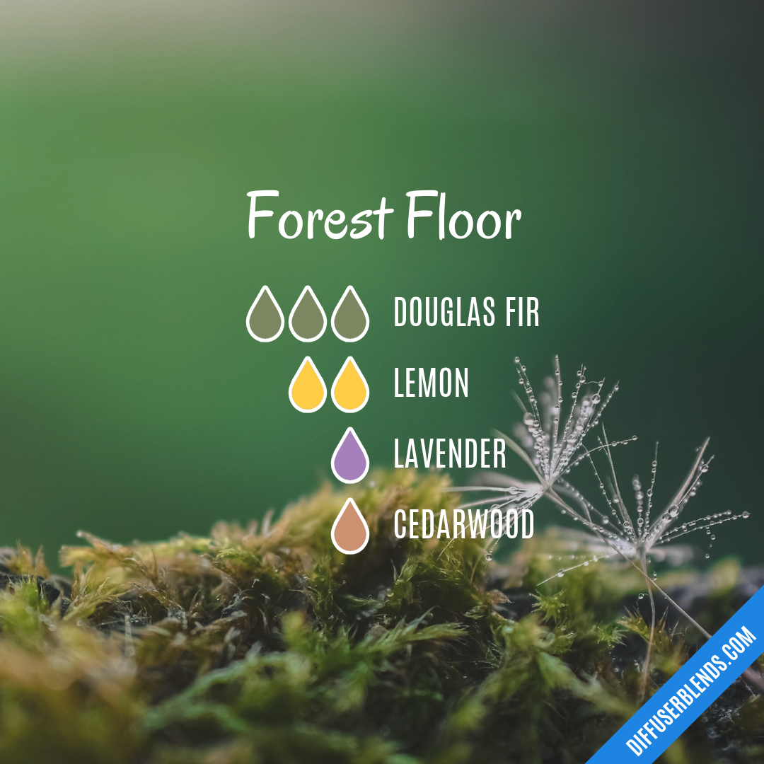 Forest Floor — Essential Oil Diffuser Blend