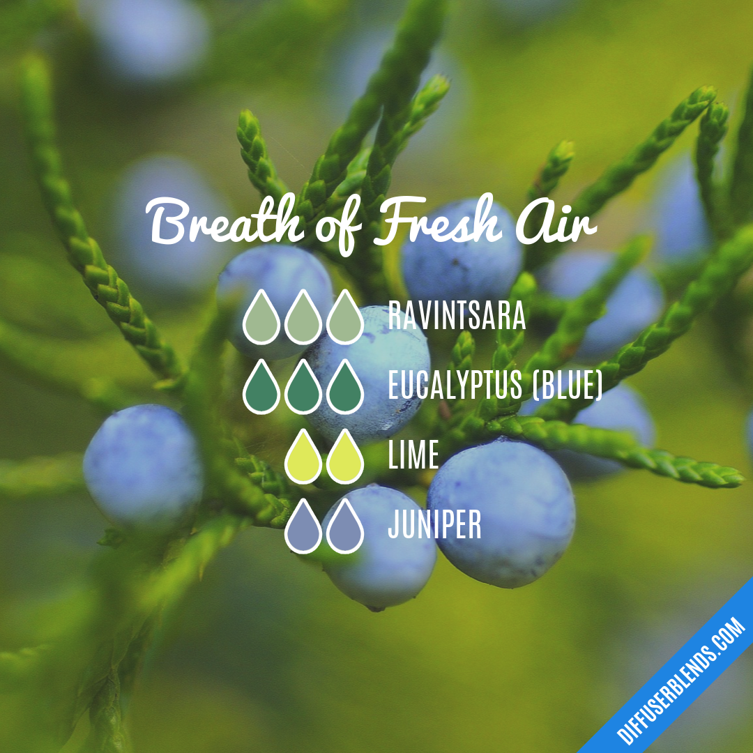 Breath of Fresh Air — Essential Oil Diffuser Blend