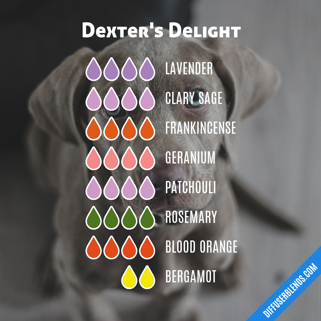 Dexter's Delight — Essential Oil Diffuser Blend