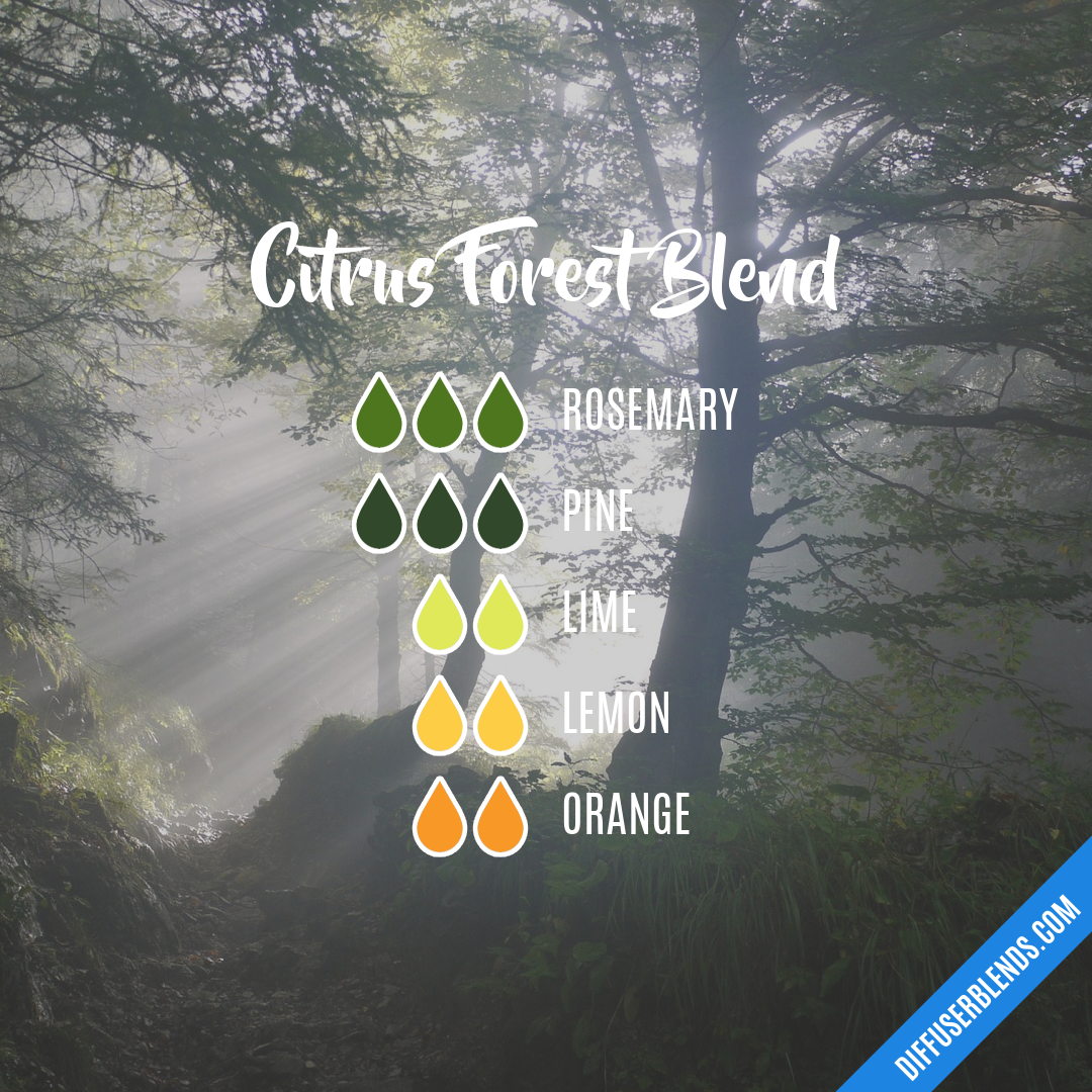 Citrus Forest Blend — Essential Oil Diffuser Blend