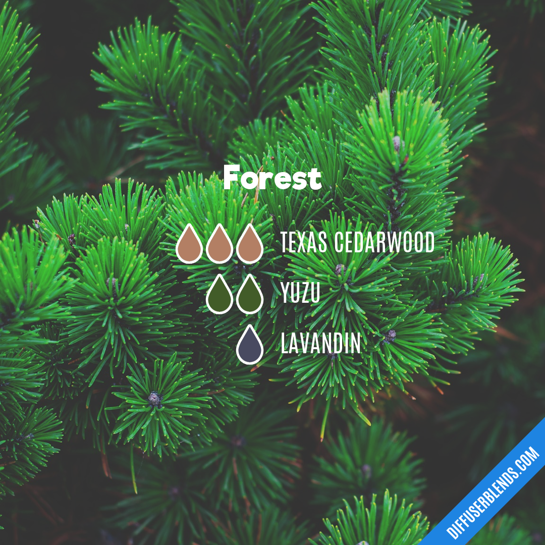 Forest — Essential Oil Diffuser Blend