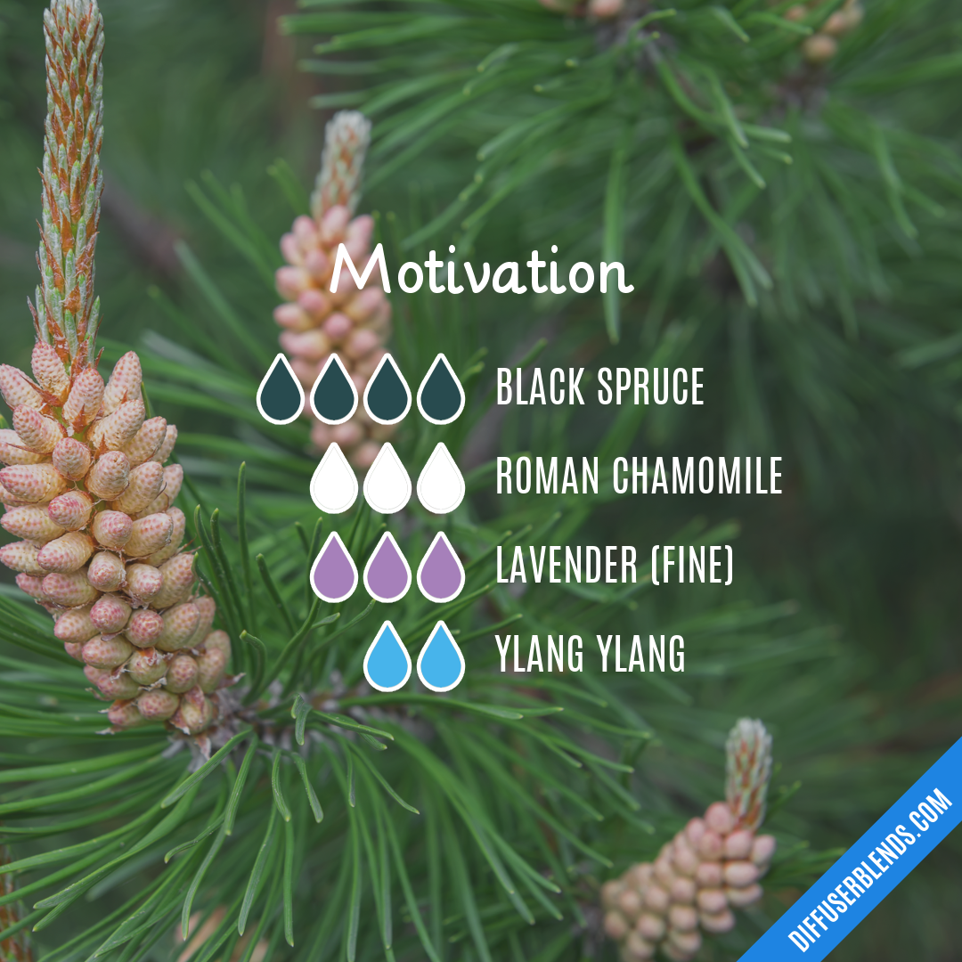 Motivation — Essential Oil Diffuser Blend