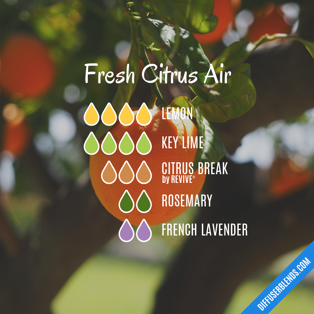 Fresh Citrus Air — Essential Oil Diffuser Blend