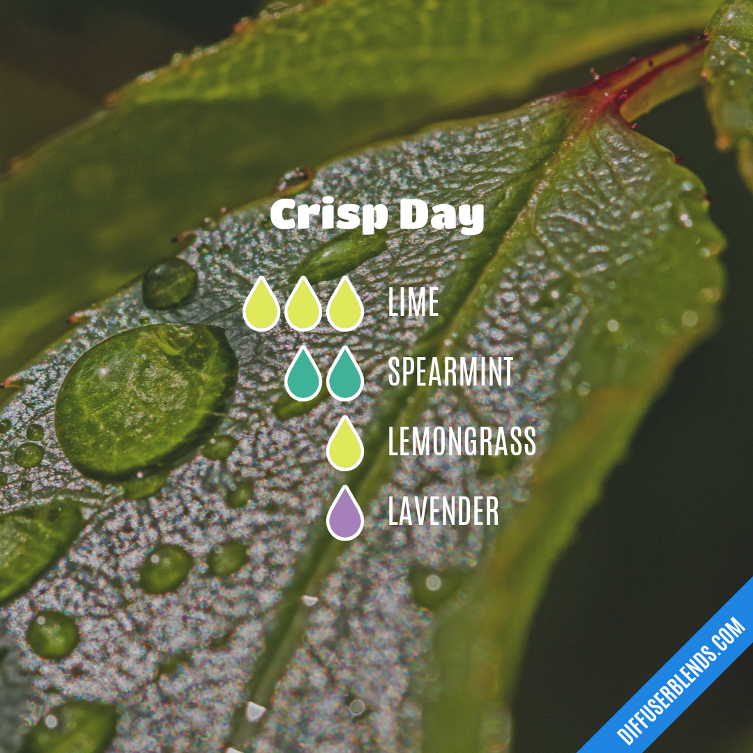 Crisp Day — Essential Oil Diffuser Blend