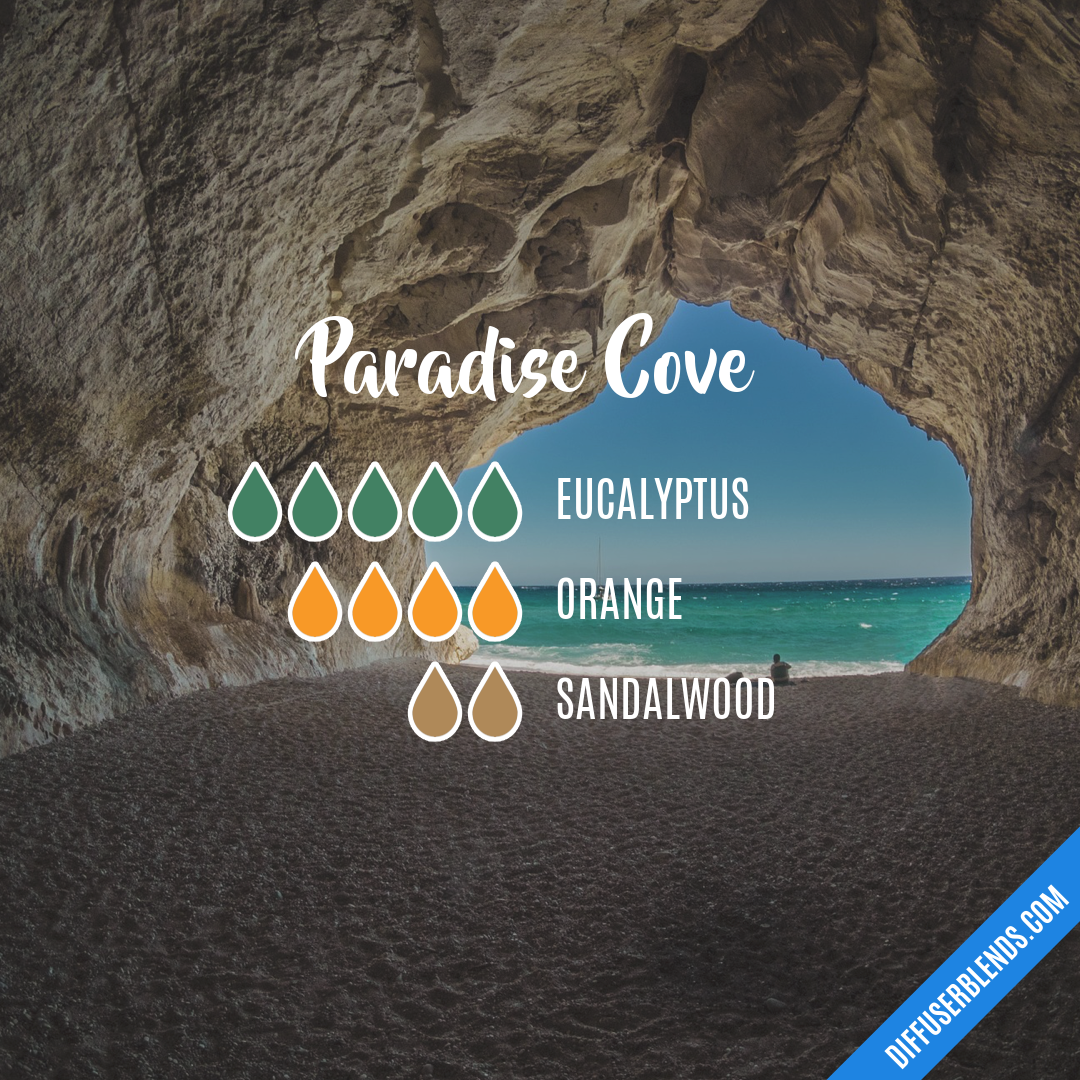 Paradise Cove — Essential Oil Diffuser Blend