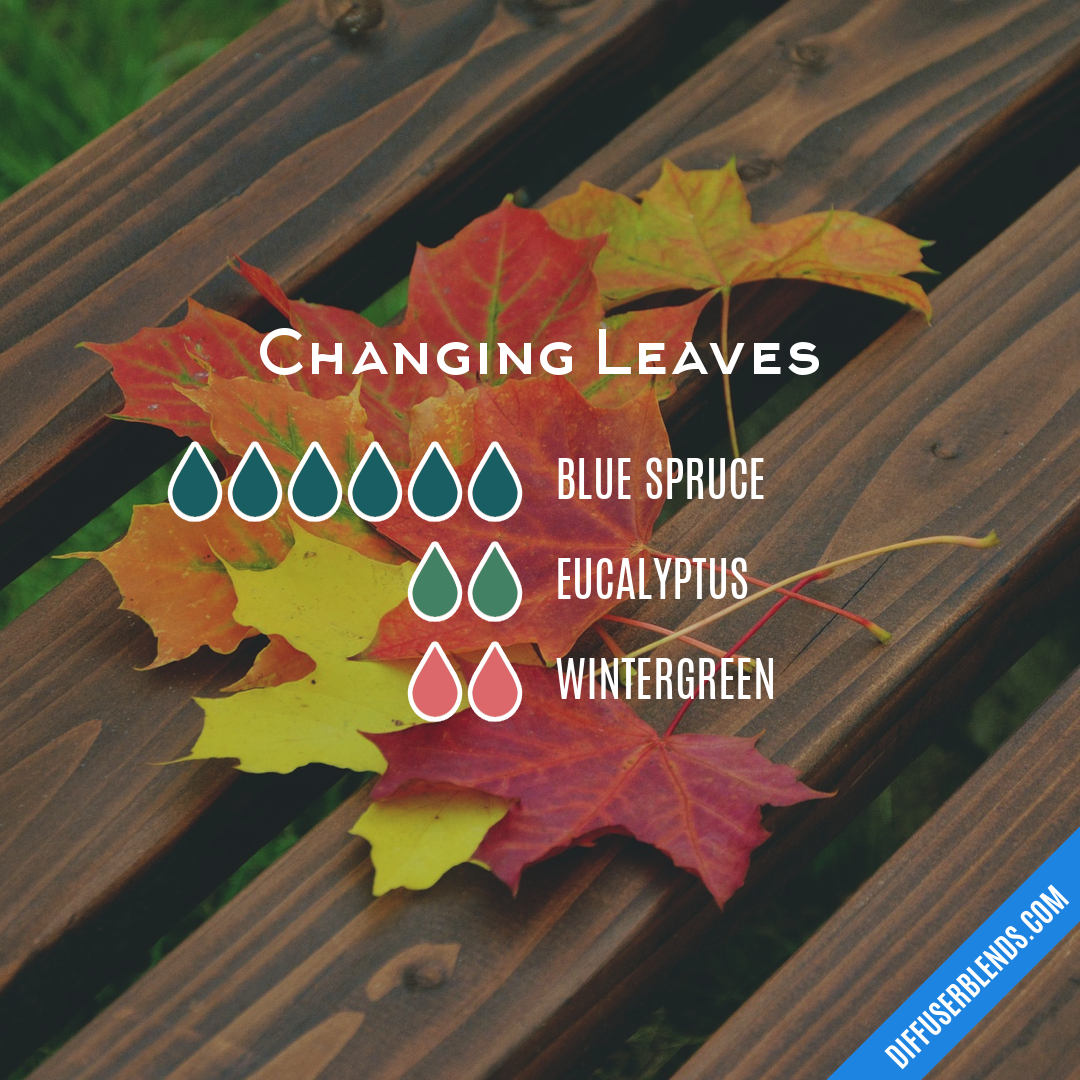 Changing Leaves | DiffuserBlends.com