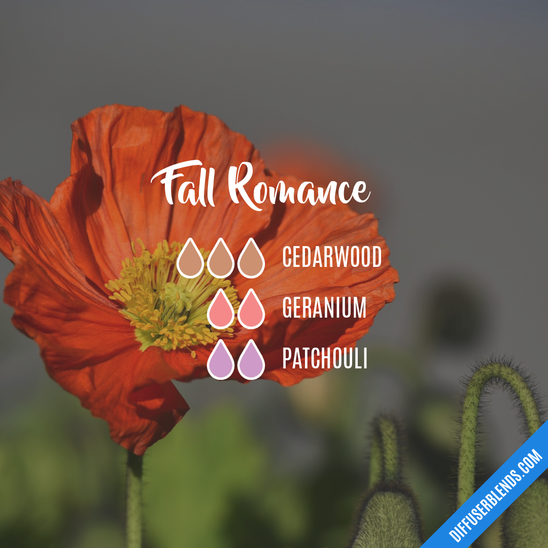 Fall Romance — Essential Oil Diffuser Blend
