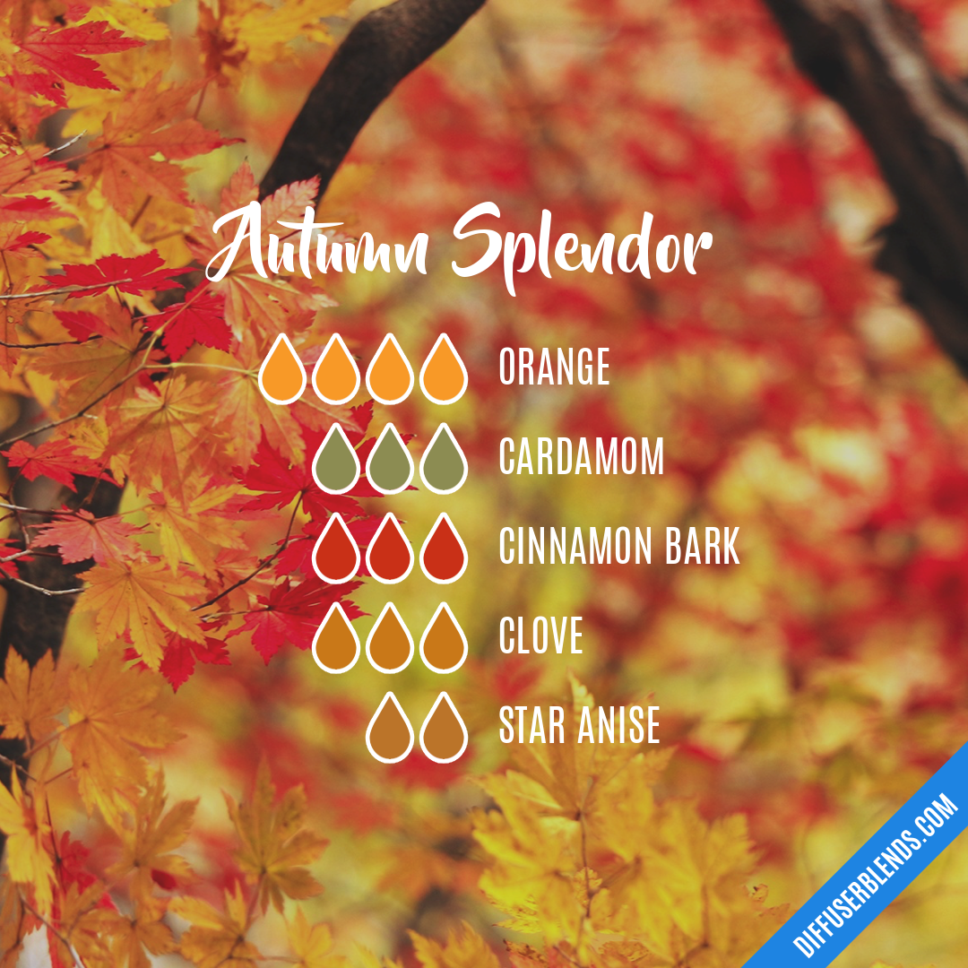 Autumn Splendor | DiffuserBlends.com