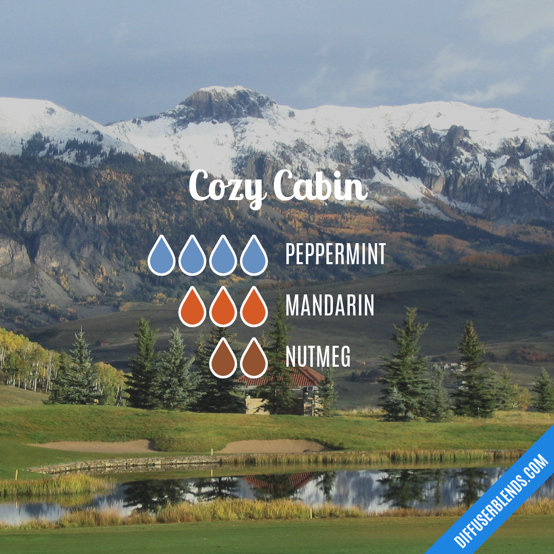 Cozy Cabin — Essential Oil Diffuser Blend