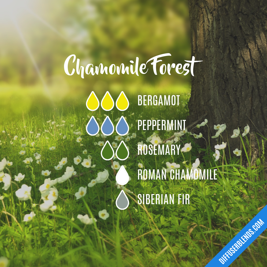 Chamomile Forest — Essential Oil Diffuser Blend