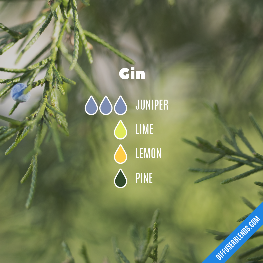 Gin — Essential Oil Diffuser Blend